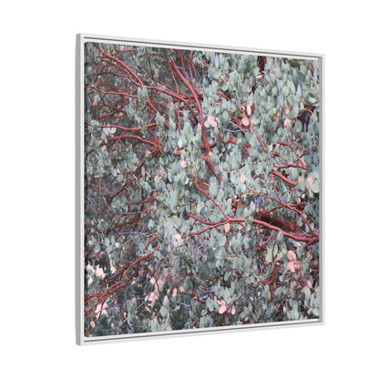 Whispers of Sage - Unique Stretched Canvas Wall Art