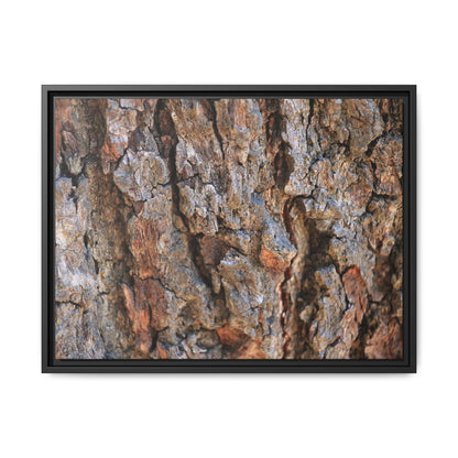 Craggy Textures - Unique Stretched Canvas Wall Art