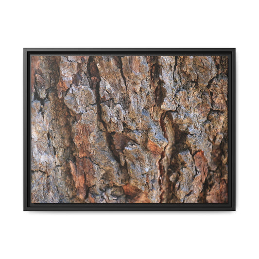 Craggy Textures - Unique Stretched Canvas Wall Art