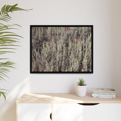 Sage Fields Forever - Unique Stretched Canvas Wall Art - Art By Earth