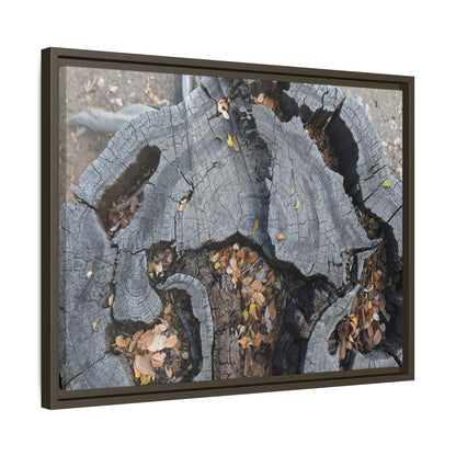 Time's Fractal Memory - Unique Stretched Canvas Wall Art