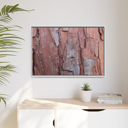 Peeling Bark - Unique Stretched Canvas Wall Art