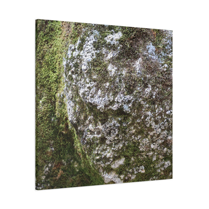 Moss and Stone Whispers - Unique Frameless Canvas Wall Art