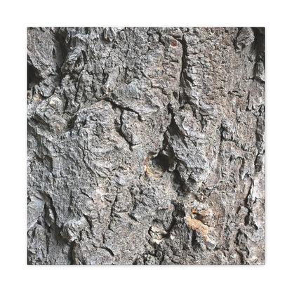 Elemental Canvas - Unique Frameless Canvas Wall Art