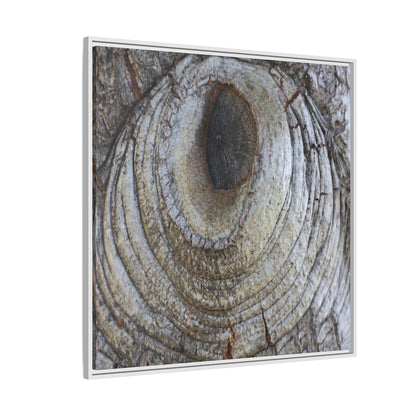 Echoes of Time - Unique Stretched Canvas Wall Art
