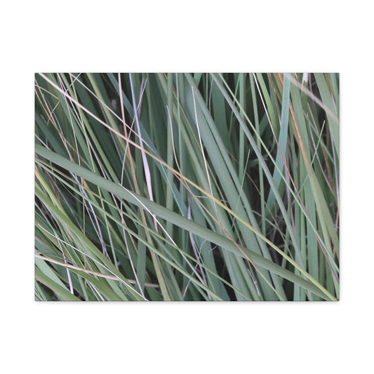 Whispers of Green - Unique Frameless Canvas Wall Art