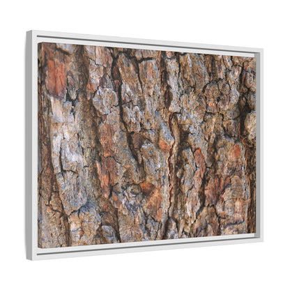 Tree's Timeworn Tale - Unique Stretched Canvas Wall Art