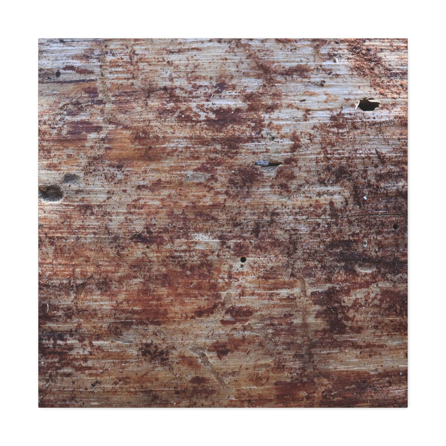 Decaying Memoir - Unique Frameless Canvas Wall Art