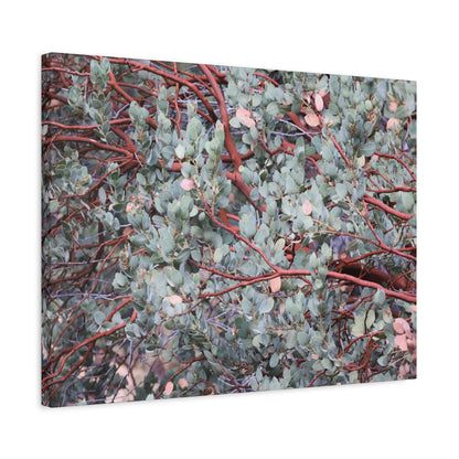 Whispers of Silver and Rust - Unique Frameless Canvas Wall Art