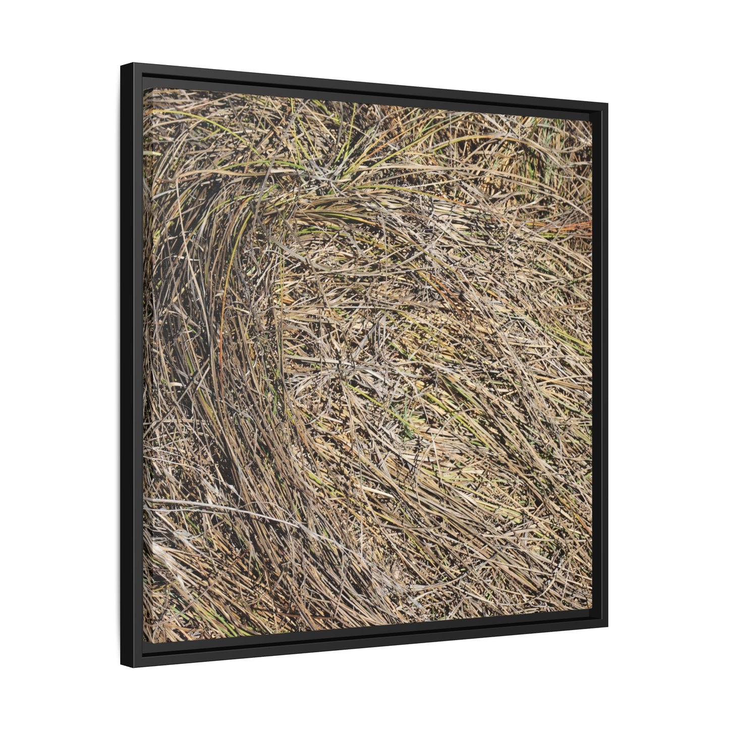 Tangled Grass Symphony - Unique Stretched Canvas Wall Art - Art By Earth