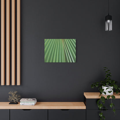 Fan of Green - Unique Frameless Canvas Wall Art