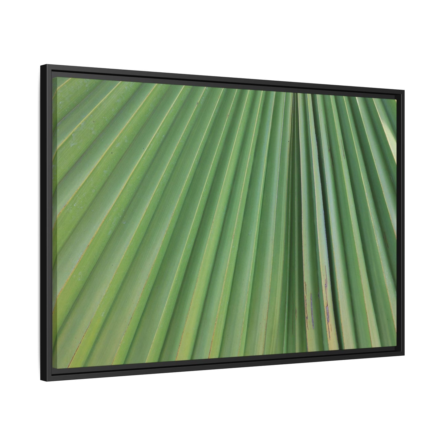 Emerald Rays - Unique Stretched Canvas Wall Art