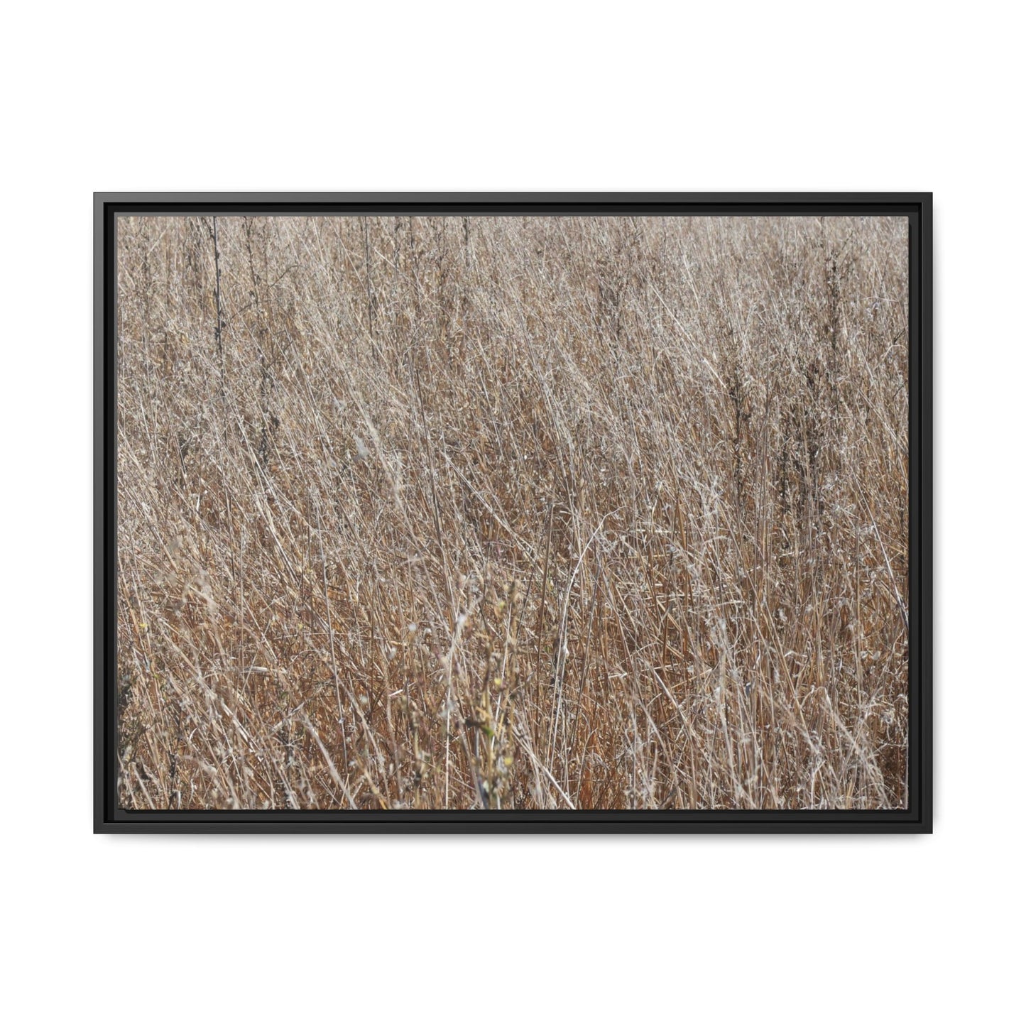 Whispers of Autumn - Unique Stretched Canvas Wall Art - Art By Earth