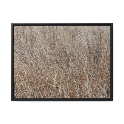 Whispers of Autumn - Unique Stretched Canvas Wall Art - Art By Earth
