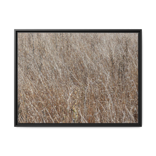 Whispers of Autumn - Unique Stretched Canvas Wall Art - Art By Earth