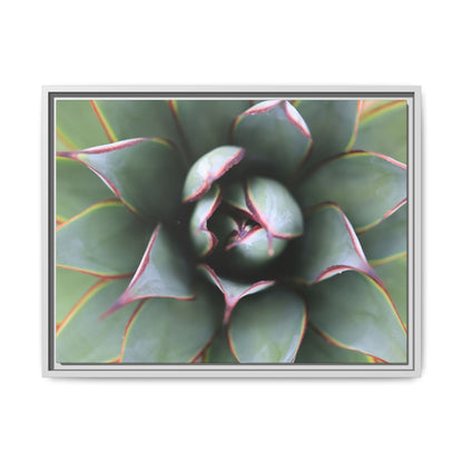 Spiky Elegance - Unique Stretched Canvas Wall Art