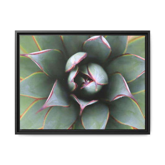 Spiky Elegance - Unique Stretched Canvas Wall Art