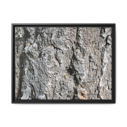 Crusty Exterior - Unique Stretched Canvas Wall Art