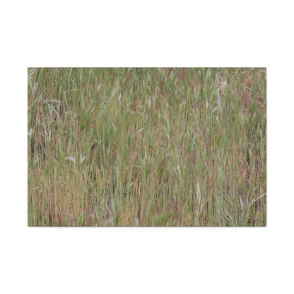 Whispers of the Prairie - Unique Frameless Canvas Wall Art