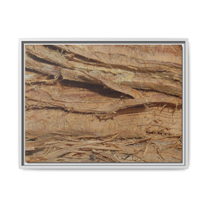 Splintered Bark - Unique Stretched Canvas Wall Art