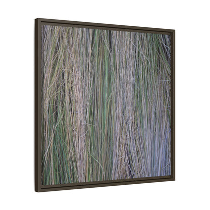 Whispers of Silver Grass - Unique Stretched Canvas Wall Art