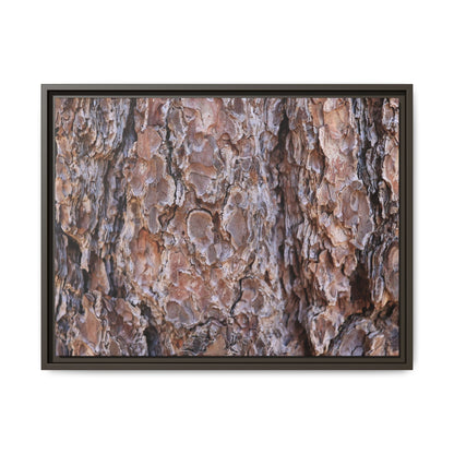 Woody Layers - Unique Stretched Canvas Wall Art