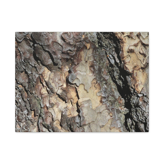 Tree Bark Symphony - Unique Frameless Canvas Wall Art
