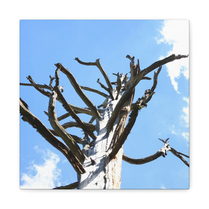 Skeletal Branches Reaching - Unique Frameless Canvas Wall Art