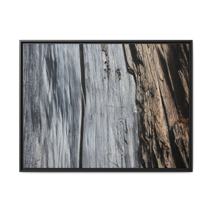 Wood's Lament - Unique Stretched Canvas Wall Art