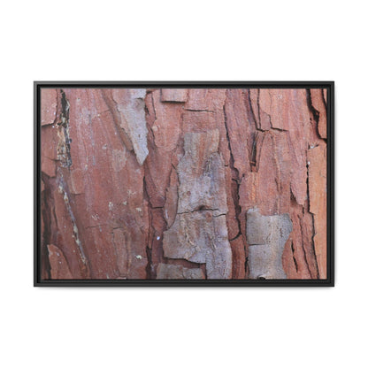 Peeling Bark - Unique Stretched Canvas Wall Art
