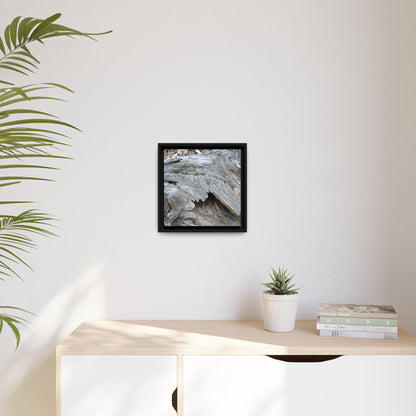 Driftwood Dreams - Unique Stretched Canvas Wall Art