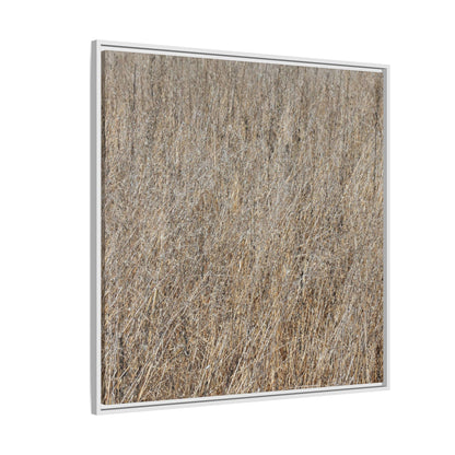 Whispers of Straw - Unique Stretched Canvas Wall Art - Art By Earth