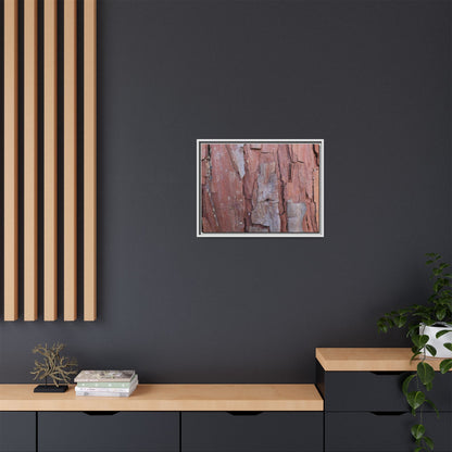 Peeling Bark - Unique Stretched Canvas Wall Art