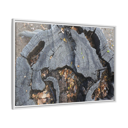 Time's Fractal Memory - Unique Stretched Canvas Wall Art