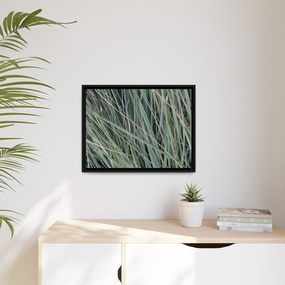 Grassland Symphony - Unique Stretched Canvas Wall Art