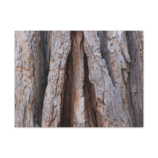 Fractured Skin of Time - Unique Frameless Canvas Wall Art