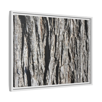 Bark Lines - Unique Stretched Canvas Wall Art