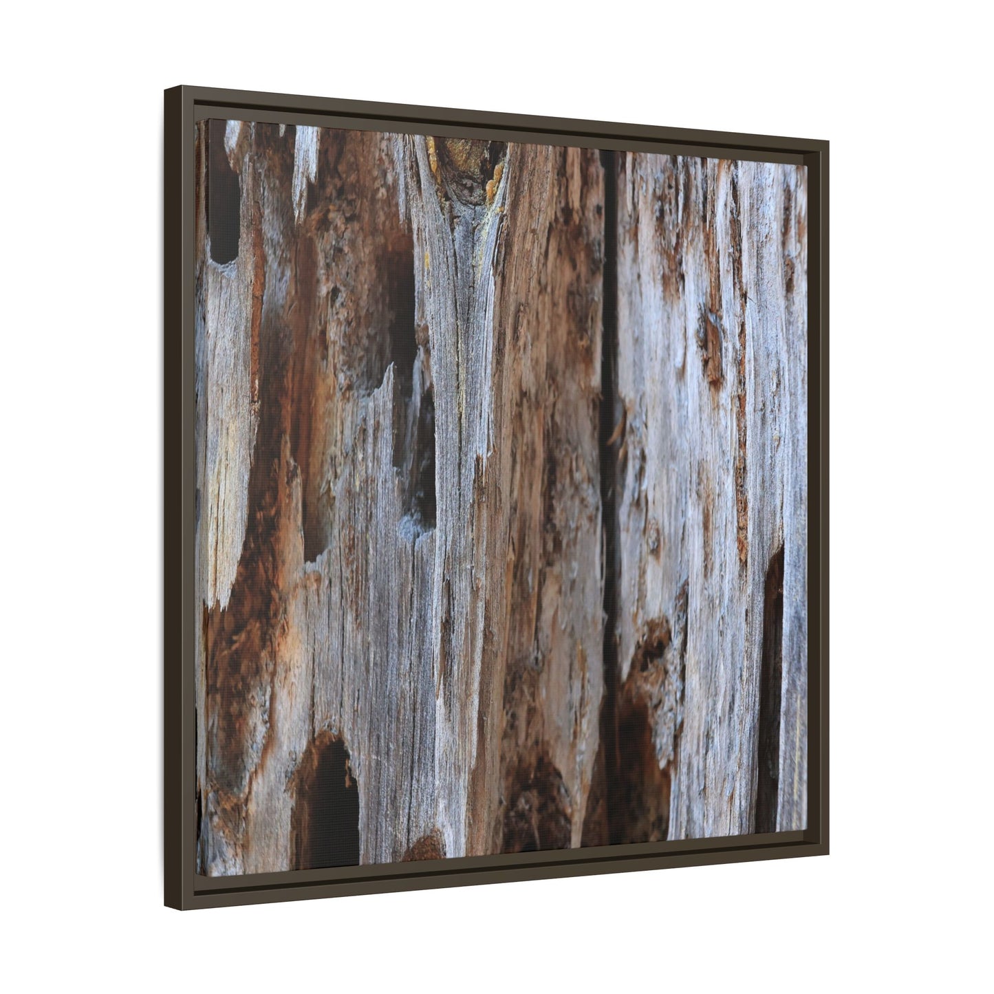 Decaying Splendor - Unique Stretched Canvas Wall Art