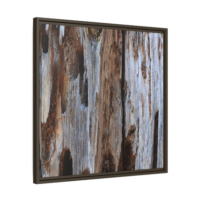 Decaying Splendor - Unique Stretched Canvas Wall Art