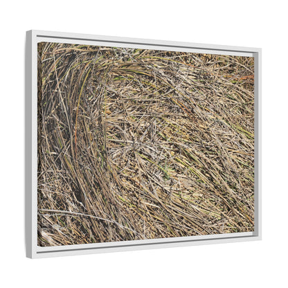 Tangled Grass Symphony - Unique Stretched Canvas Wall Art - Art By Earth
