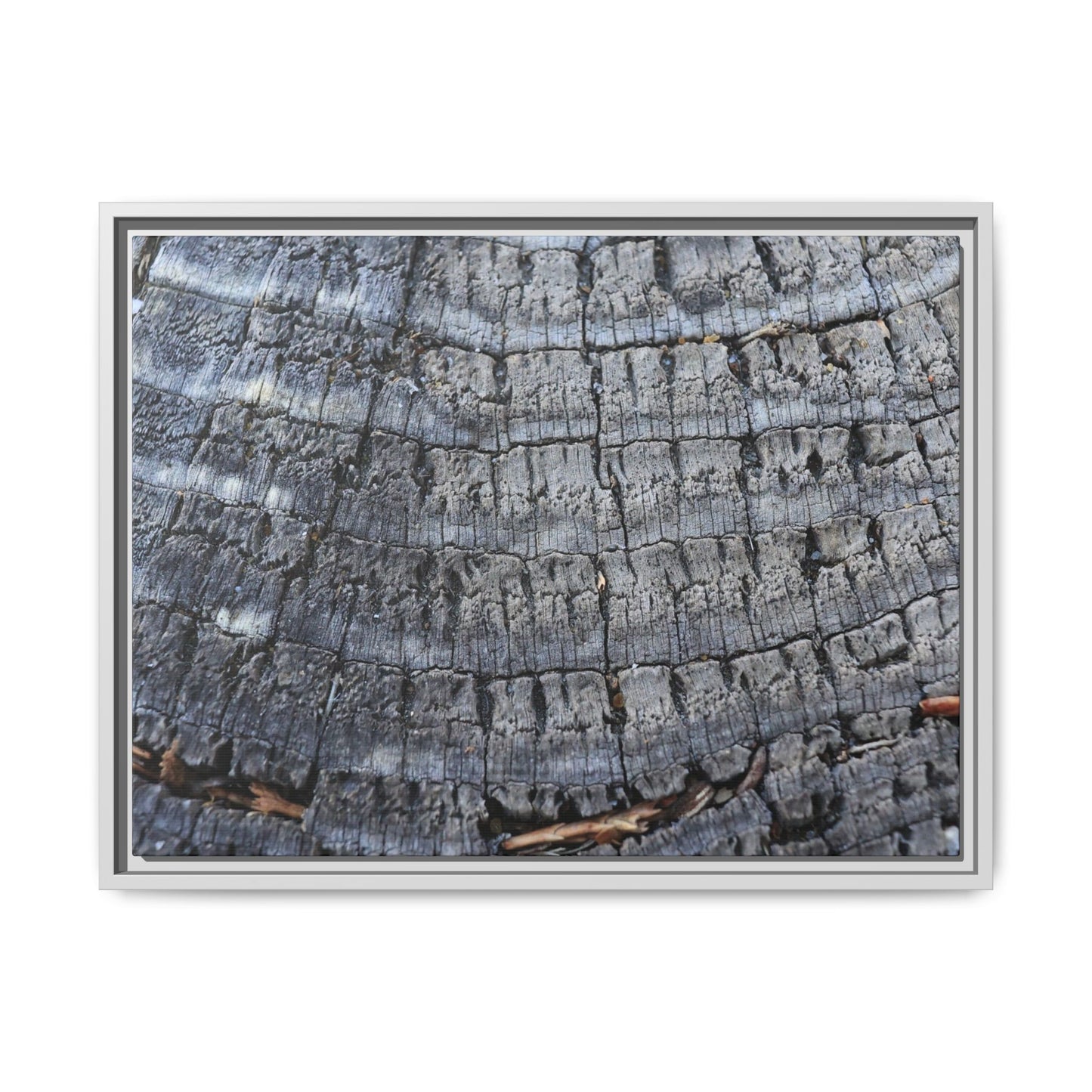 Charred Memories - Unique Stretched Canvas Wall Art