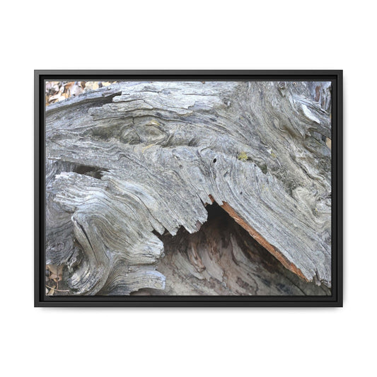 Driftwood Dreams - Unique Stretched Canvas Wall Art