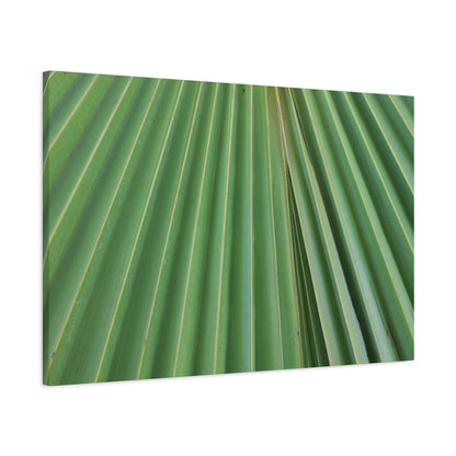 Fan of Green - Unique Frameless Canvas Wall Art
