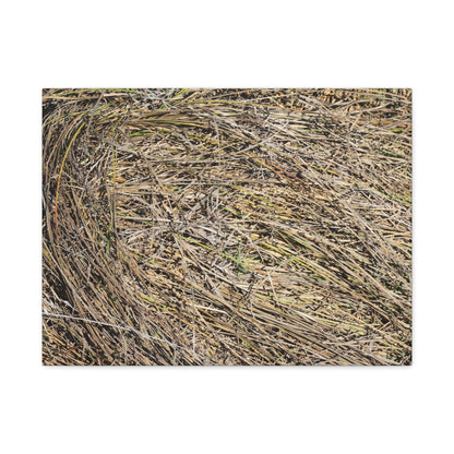 Tangled Hay - Unique Stretched Canvas Wall Art - Art By Earth