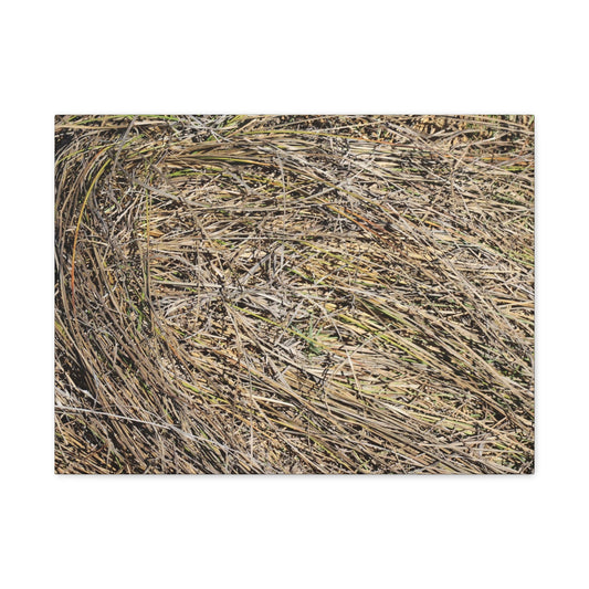 Tangled Hay - Unique Stretched Canvas Wall Art - Art By Earth
