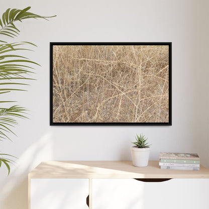 Golden Stalks - Unique Stretched Canvas Wall Art