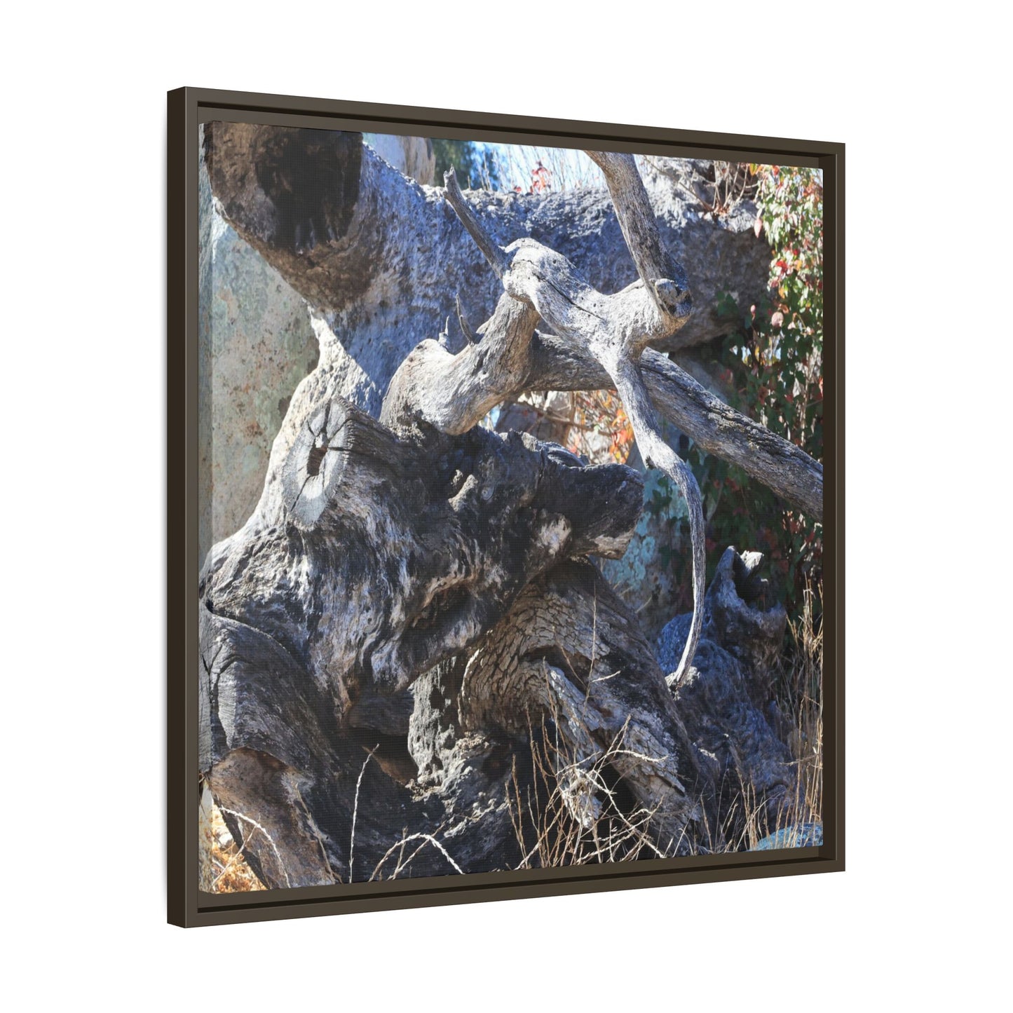 Resilient Roots - Unique Stretched Canvas Wall Art - Art By Earth