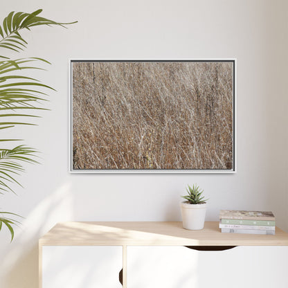 Dry Grass Symphony - Unique Stretched Canvas Wall Art - Art By Earth