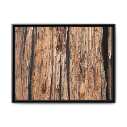 Timber Echoes - Unique Stretched Canvas Wall Art
