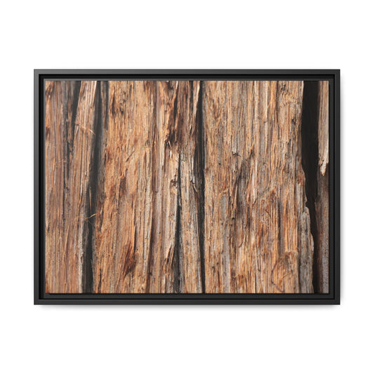 Timber Echoes - Unique Stretched Canvas Wall Art